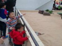 带娃参观恐龙---天津自然博物馆
